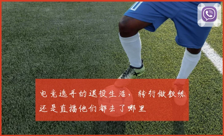 电竞选手的退役生活,转行做教练还是直播他们都去了哪里