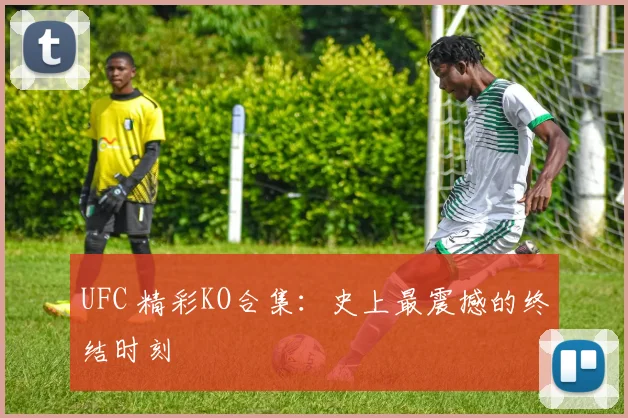 UFC 精彩KO合集：史上最震撼的终结时刻