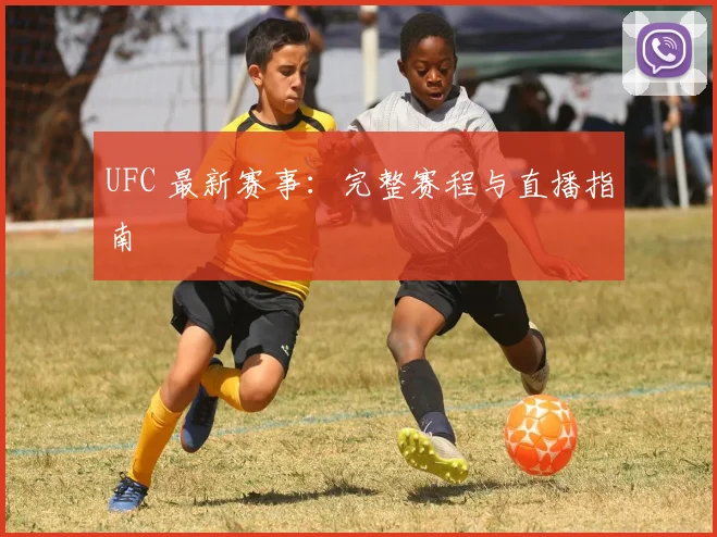 UFC 最新赛事:完整赛程与直播指南